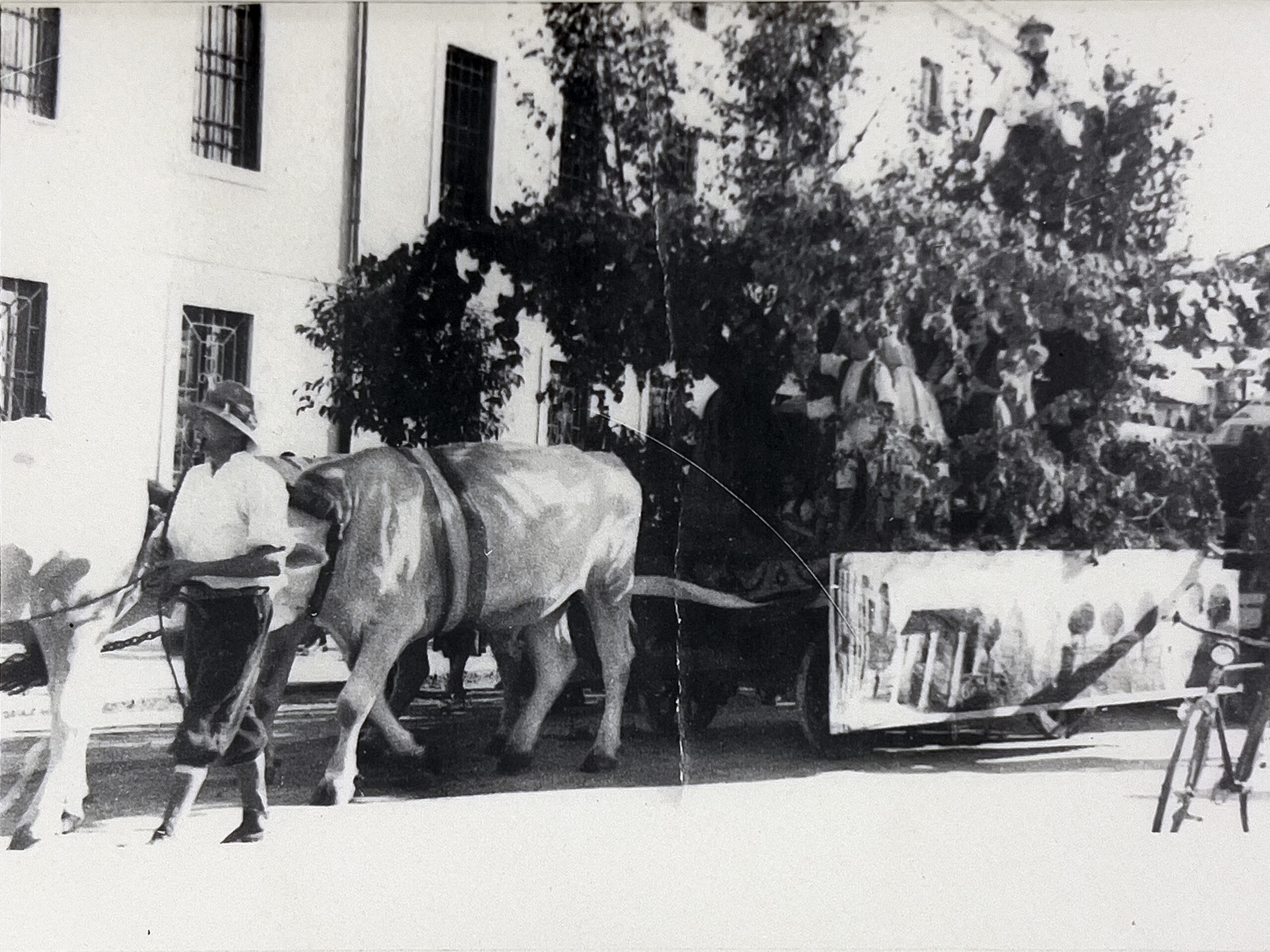 04 foto fam vigolo3 PRIMI 1900